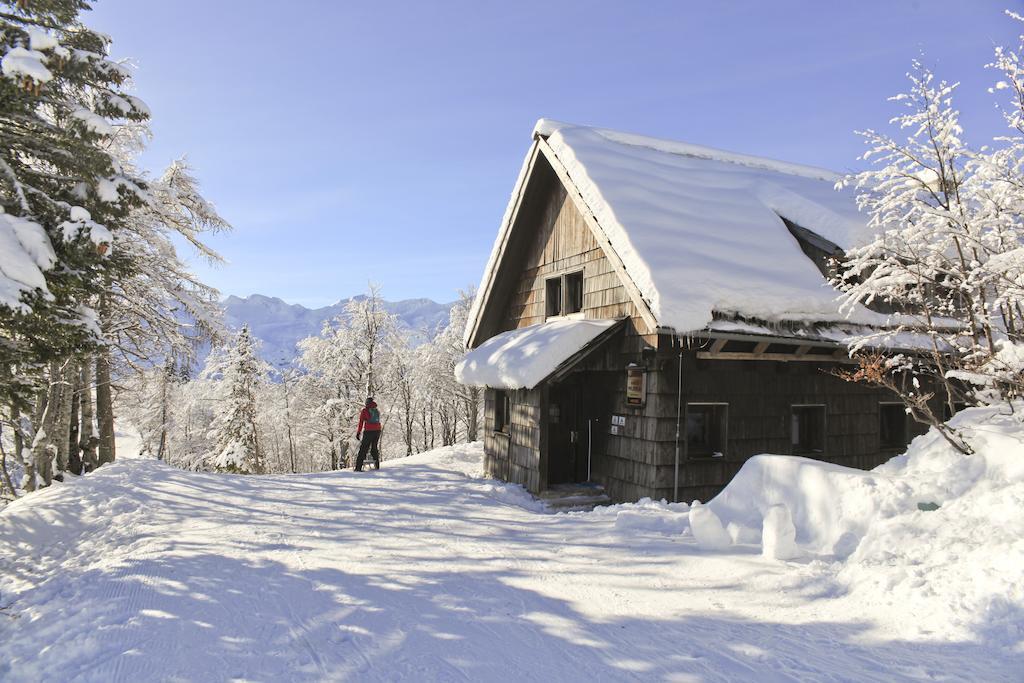 Chalet Hostel Murka Bohinj Exteriör bild
